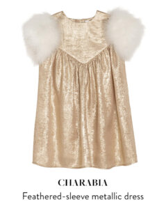 Charabia feathered-sleeve metallic dress for christmas