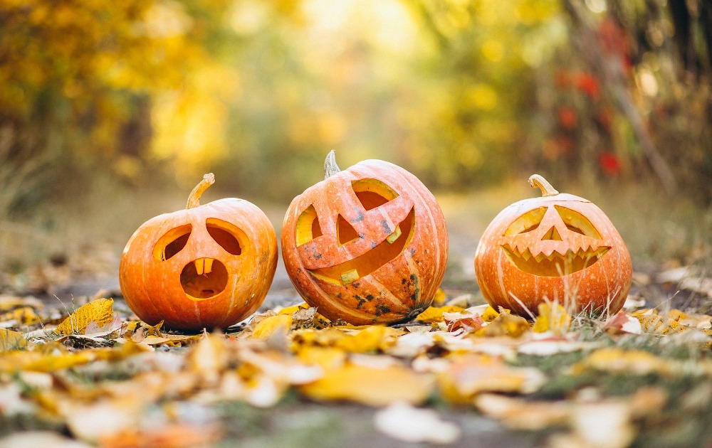 The Jack-O’-Lantern: a DIY project for the whole family